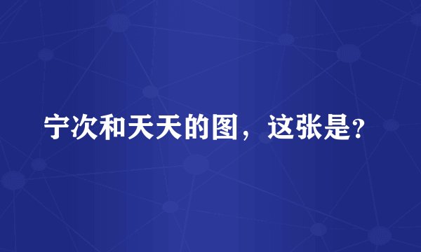 宁次和天天的图，这张是？