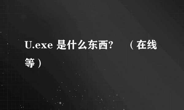 U.exe 是什么东西?    （在线等）