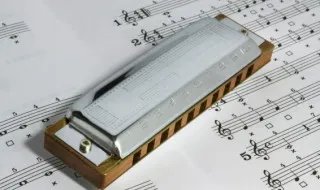 小松树歌词 小松树歌词完整版