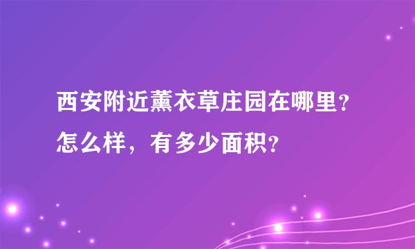 西安附近薰衣草庄园在哪里？怎么样，有多少面积？