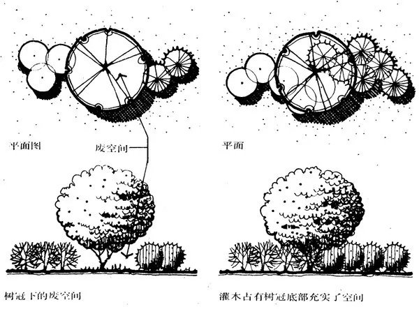 干货 | 庭院植物打造，营造十足空间感