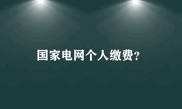 国家电网个人缴费？