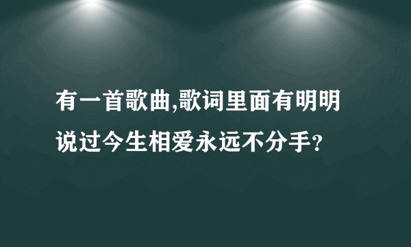 有一首歌曲,歌词里面有明明说过今生相爱永远不分手？