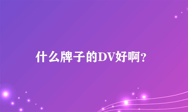 什么牌子的DV好啊？
