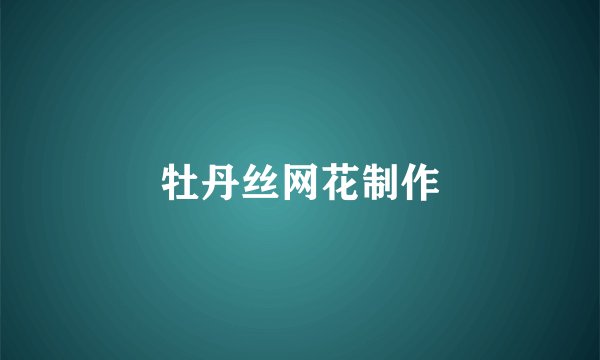 牡丹丝网花制作