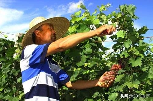 老有所为的精神是什么