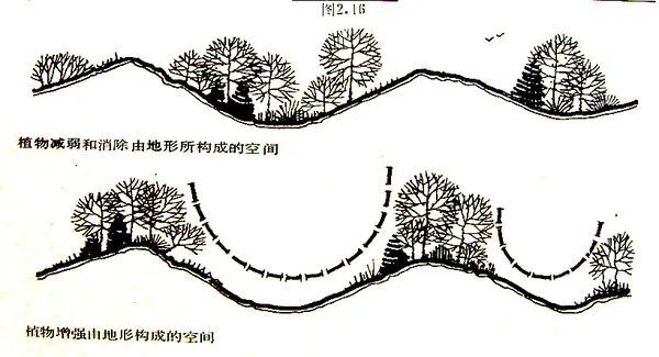 干货 | 庭院植物打造，营造十足空间感