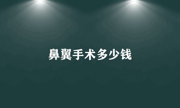 鼻翼手术多少钱
