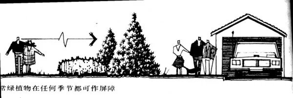 干货 | 庭院植物打造，营造十足空间感