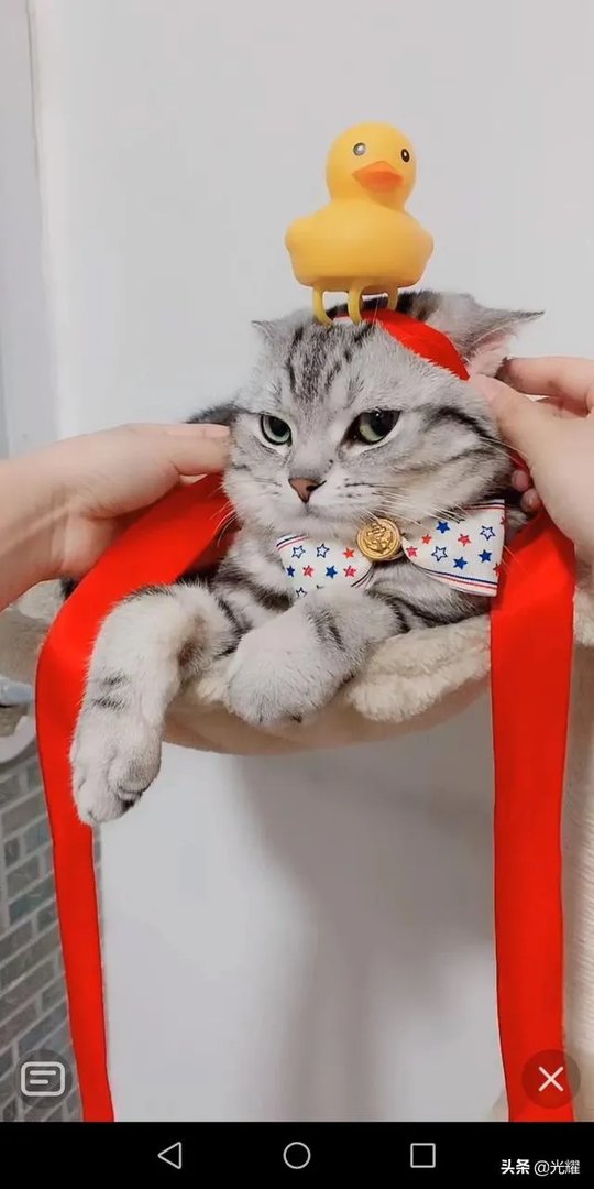 520在古代是什么节日？