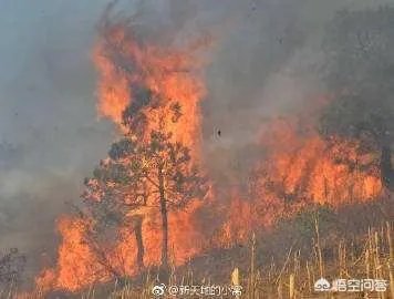 凉山木里火场又复燃了，是什么原因造成的？