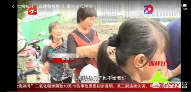 拆迁征地上种菜被推平，大妈报警维权要求赔偿被拒绝，怎么办？