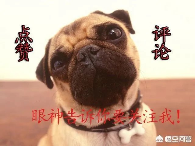 如何看待许昕3:0完胜费格尔？