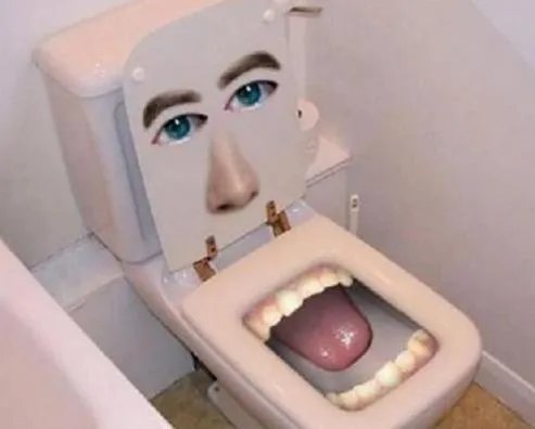 家庭生活小窍门 马桶堵塞学会这招轻松搞定（图）