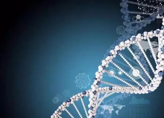 nmn修复端粒过程是怎么样的？ nmn抗衰老的副作用有没有