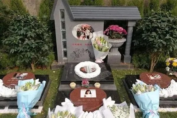 朱小贞医院抢救视频怎么回事 抢救现场照片真实吗