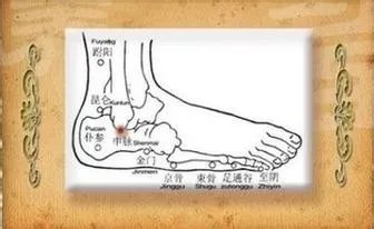 黄帝内经使用手册