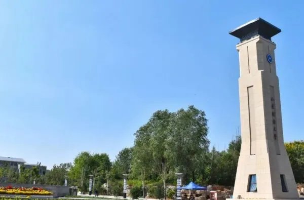 在山东省，排名前15的大学分别是哪些？