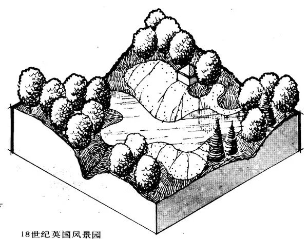 干货 | 庭院植物打造，营造十足空间感