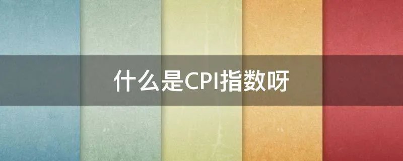 什么是CPI指数呀