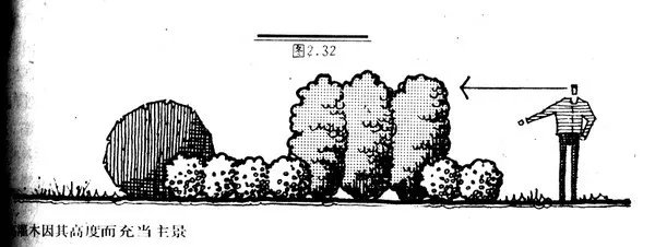 干货 | 庭院植物打造，营造十足空间感