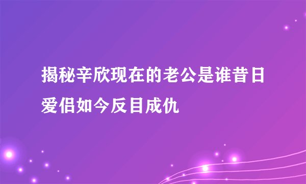 揭秘辛欣现在的老公是谁昔日爱侣如今反目成仇