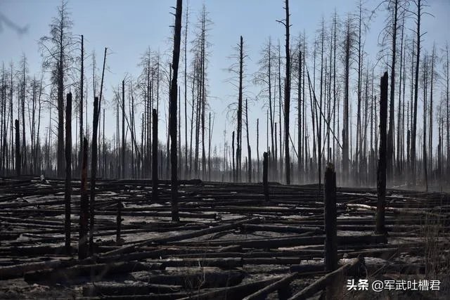 怎么看待乌克兰切尔诺贝利禁区森林大火？