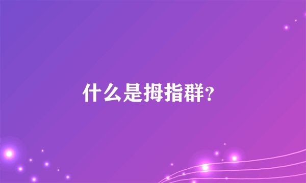 什么是拇指群？