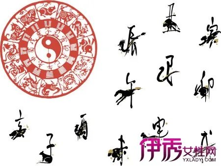 揭秘2016年生肖运程