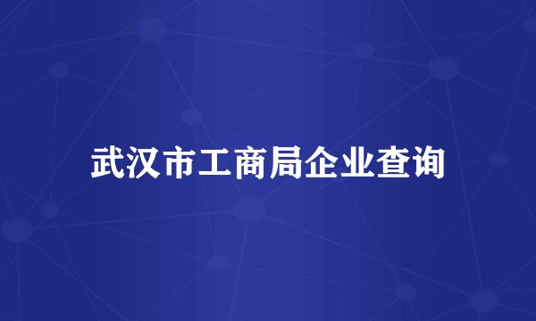 武汉市工商局企业查询