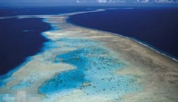 所罗门群岛原住居民砍树