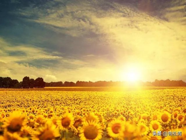 老有所为的精神是什么