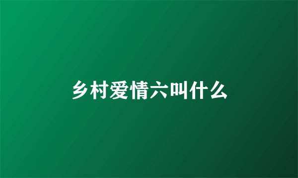 乡村爱情六叫什么