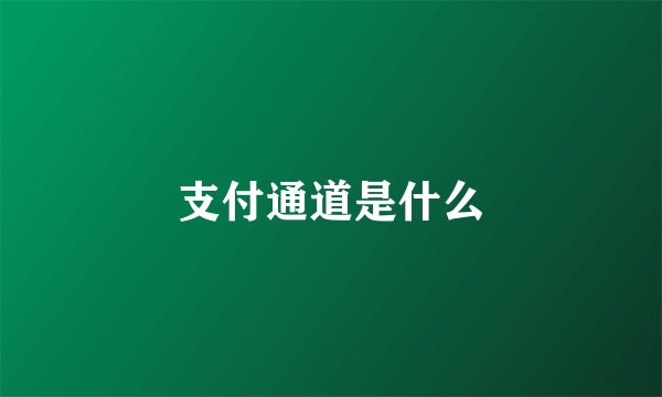 支付通道是什么