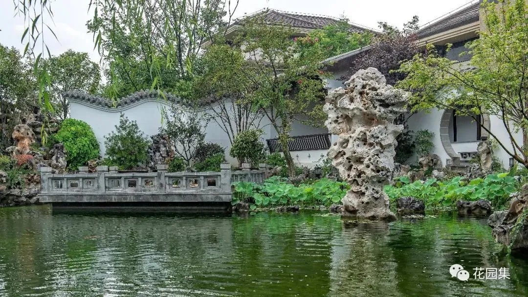 园集奖优秀作品 | 于中原之地再造一个苏式古典园林，百看不厌