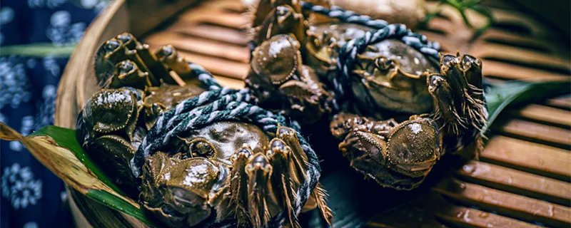 螃蟹保存方法 螃蟹保存方法保鲜