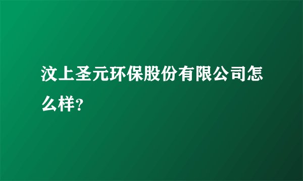 汶上圣元环保股份有限公司怎么样？