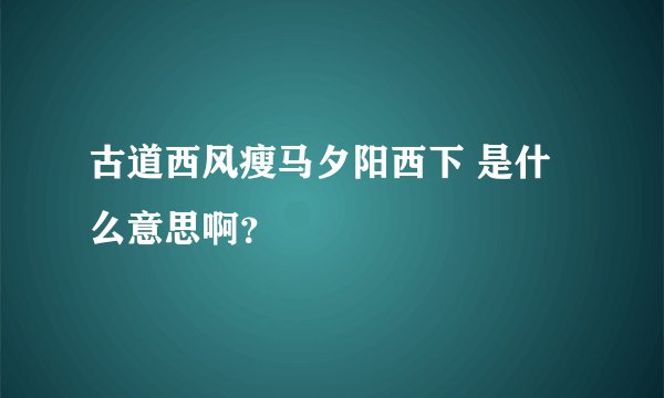 古道西风瘦马夕阳西下 是什么意思啊？