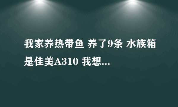 我家养热带鱼 养了9条 水族箱是佳美A310 我想问一下多久换一次水 要怎么换 还有佳美A310有氧气的吗