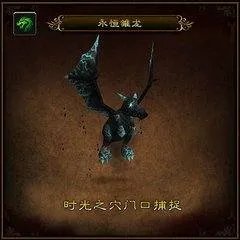 wow永恒雏龙在哪抓a