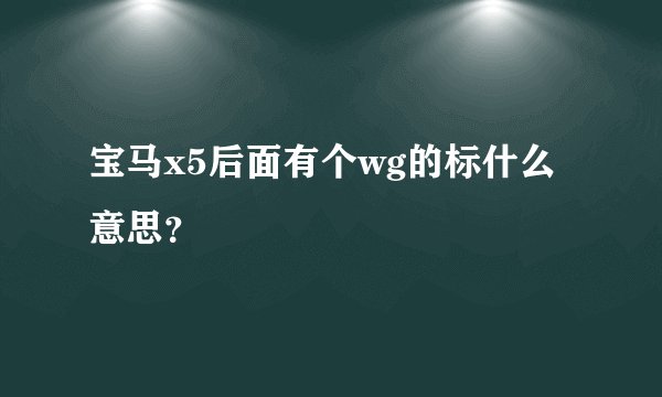 宝马x5后面有个wg的标什么意思？