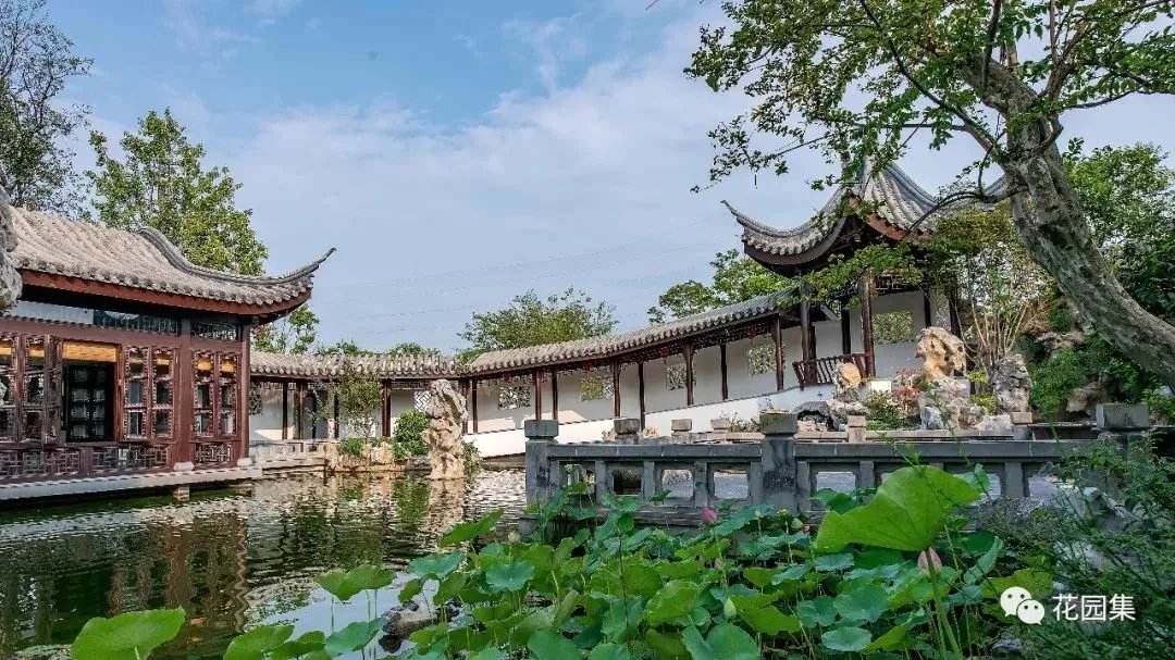 园集奖优秀作品 | 于中原之地再造一个苏式古典园林，百看不厌