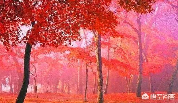 有哪些2018致自己的经典语录？