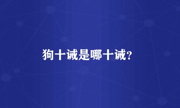 狗十诫是哪十诫？