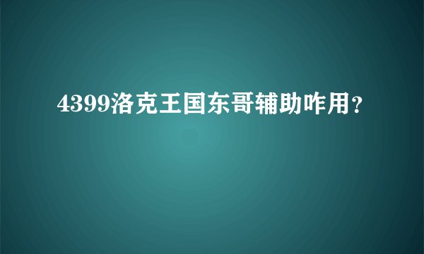 4399洛克王国东哥辅助咋用？