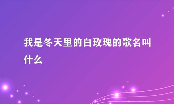 我是冬天里的白玫瑰的歌名叫什么