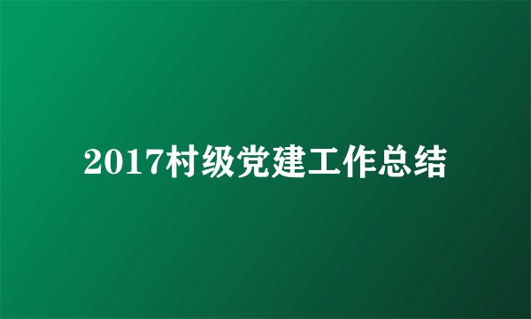 2017村级党建工作总结