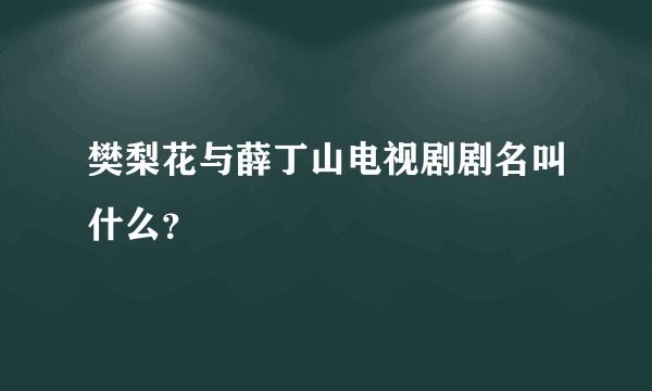 樊梨花与薛丁山电视剧剧名叫什么？