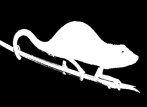 怎么分离图片的背景？