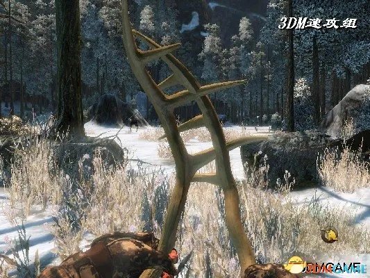 坎贝拉野外冒险2010图文攻略 全关卡玩法教程